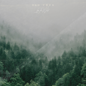 中国唯一一次黑毛时装秀
